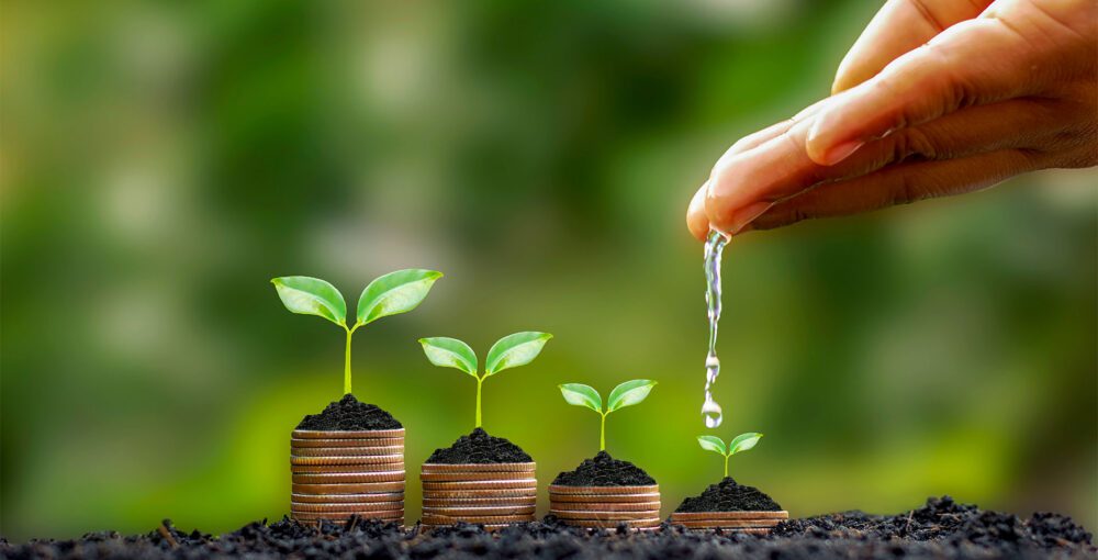 Environmental And Social Performance